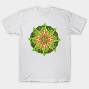 vegan food mandala T-Shirt